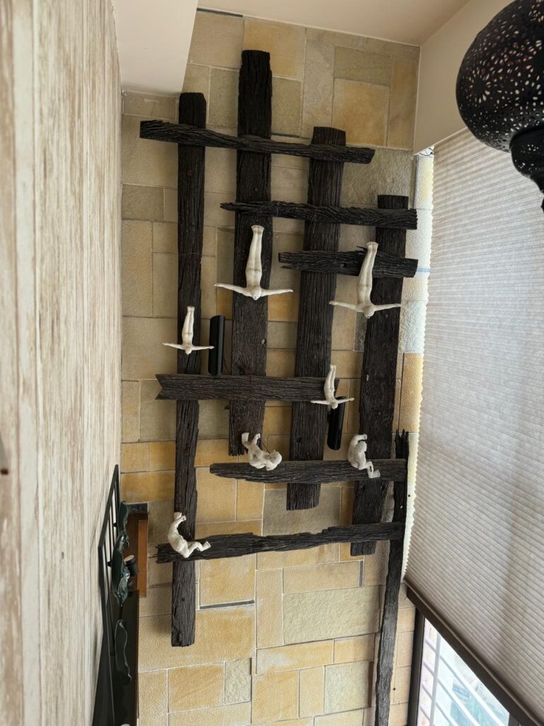 WhatsApp Image 2025-03-18 at 5.14.18 PM