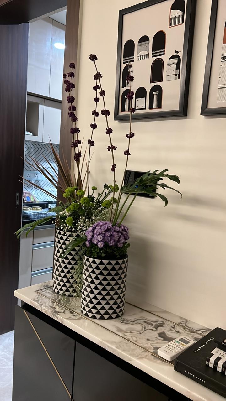 WhatsApp Image 2025-03-27 at 7.14.27 PM (1)